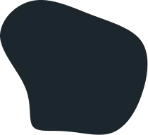 shape-08-1-1